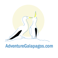 Descargar AdventureGalapagos.com