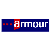 Download Armour