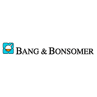 Descargar Bang & Bonsomer