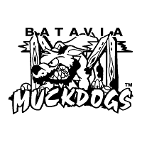 Download Batavia Muckdogs