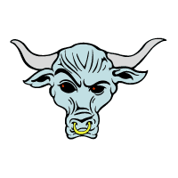 Brahma Bull