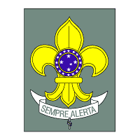Download Brazilian Scouts Union