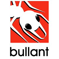 Download Bullant