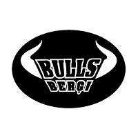 Download Bulls Bergi