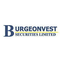Descargar Burgeonvest Securities Limited