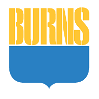 Download Burns