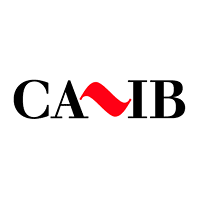 Download CA IB