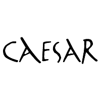 Download Caesar Groep