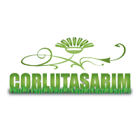 Corlutasarim.com -gsyaso
