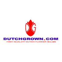 Download dutchgrown.com