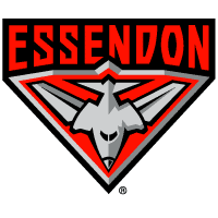 Download Essendon Bombers