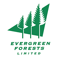 Evergreen Forests