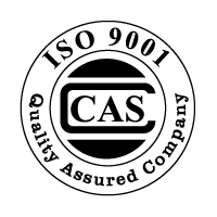 Descargar ISO 9001 CAS