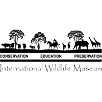 Download International Wildlife Museum