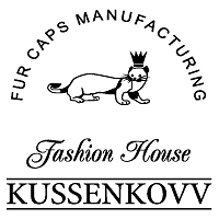 Download Kussenkovv