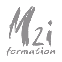 Descargar M2i Formation