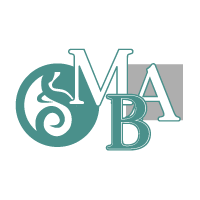 Download MBA HSE