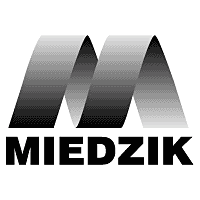 Descargar Miedzik
