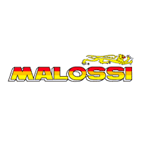 MALOSSI - Engines and special parts