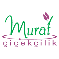 Download Murat ?i?ek?ilik