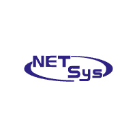 Download NETSYS JV LLC