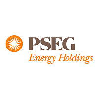 Descargar PSEG Energy Holding