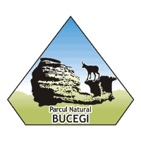 Download Parcul Natural Bucegi