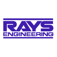 Download Rays Engineering