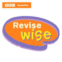 Download Revise Wise