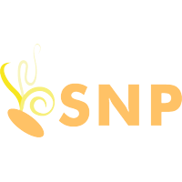 Descargar SNP-Soluciones Nuevas Posibilidades-