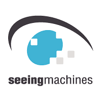 Seeing Machines