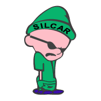 Download Silcar