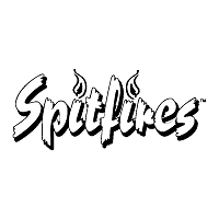 Download Spitfires