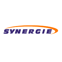 Download Synergie