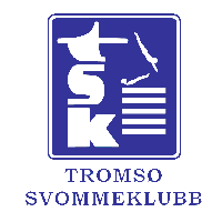 Descargar TSK logo
