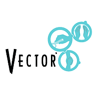 Vector Networks