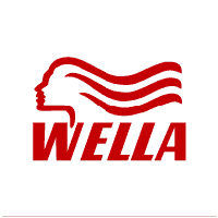Download Wella Group